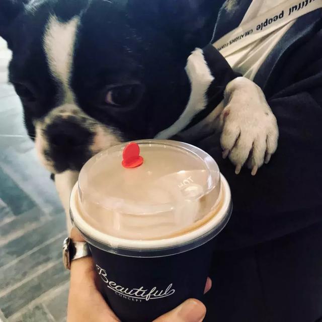 恶犬最新咖啡，独特风味与咖啡的完美结合