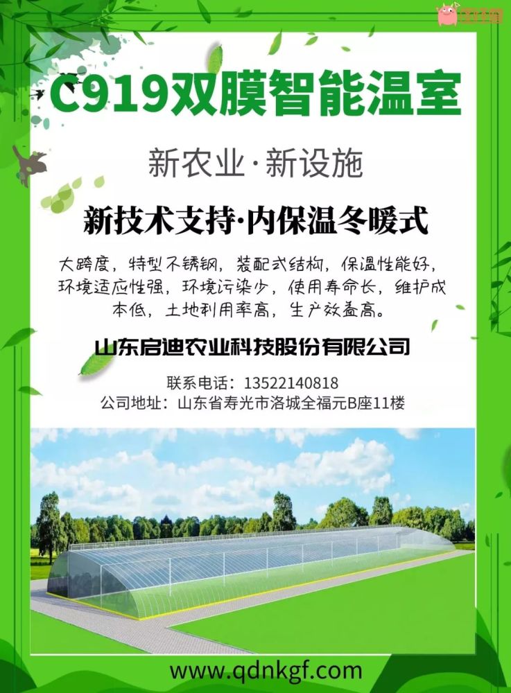 最新大棚温室，与自然美景的轻松遨游之旅
